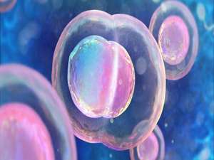 Embryo Freezing KNOW MORE